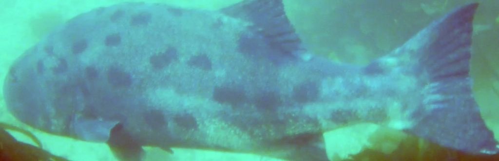 9a4b23f2-b91a-4a58-b6ea-0b2e2f829436