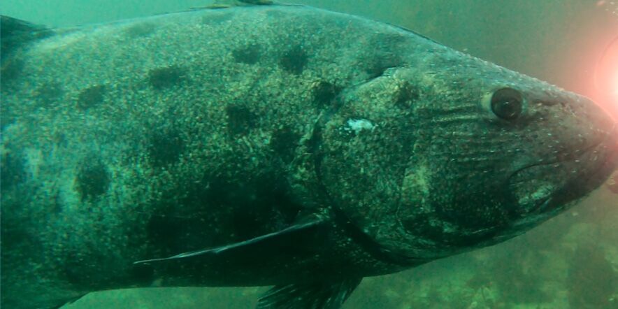 9a9eb27e-3999-4a35-833b-a7a8ec8163b2