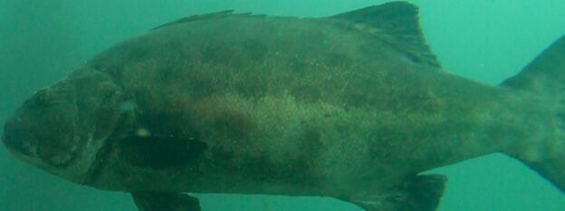 9a9eb27e-3999-4a35-833b-a7a8ec8163b2