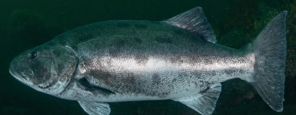 962ef27f-eebc-459e-acd7-9b6f5f7088f1