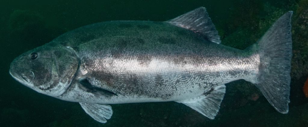 962ef27f-eebc-459e-acd7-9b6f5f7088f1