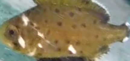 30d02cdf-a4ef-4210-ad35-2a2e4bd9078f