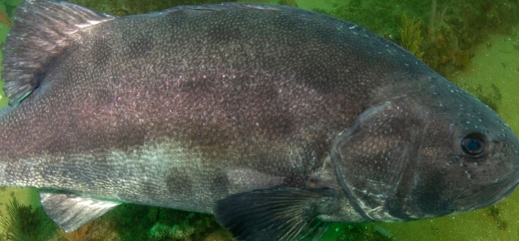 05cb09ba-6166-4a78-baea-cd6f5184627d