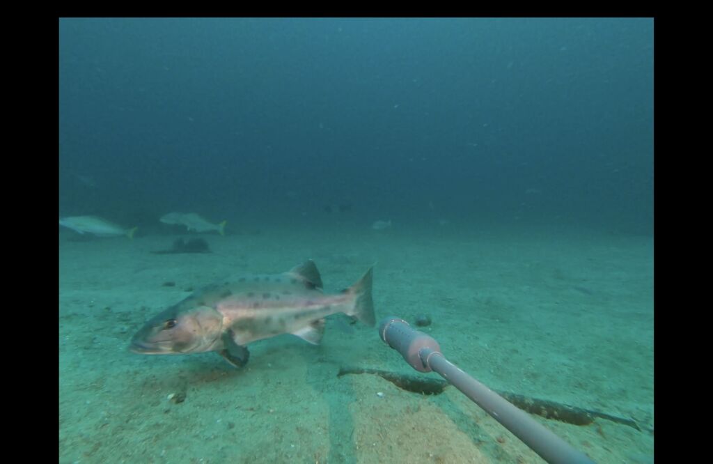 6a32f28a-720d-4314-87f7-ff8d556927cc