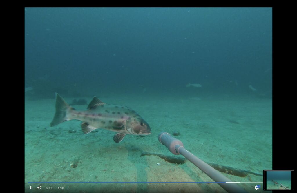 6a32f28a-720d-4314-87f7-ff8d556927cc