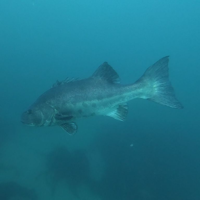 442cff86-575a-4166-92bc-0941488fdf81