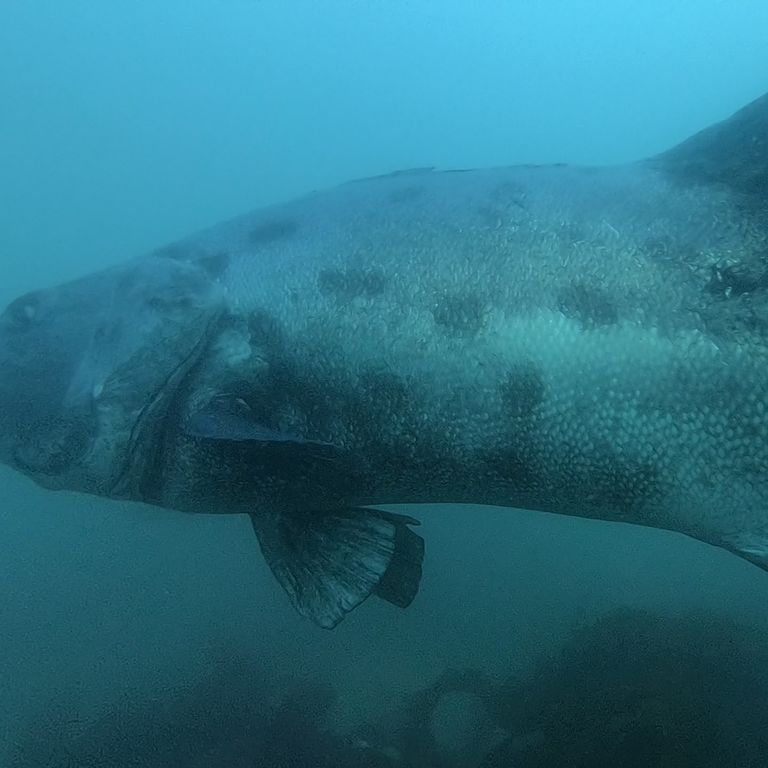 07b33bc5-d9d0-4483-9c76-9429d2d69e38