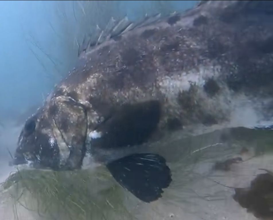 f1d69c02-c1b7-4933-8170-1e320dcef819