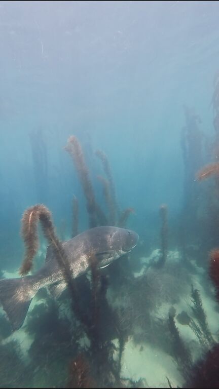 a3eb9fc5-54d2-40ec-9706-e6d138829581