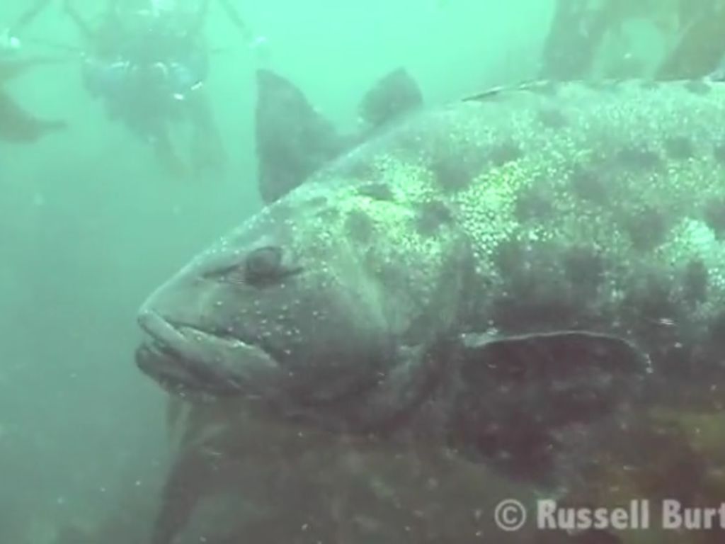 4bb829e5-1cfe-47f7-9838-00c357f2ca81