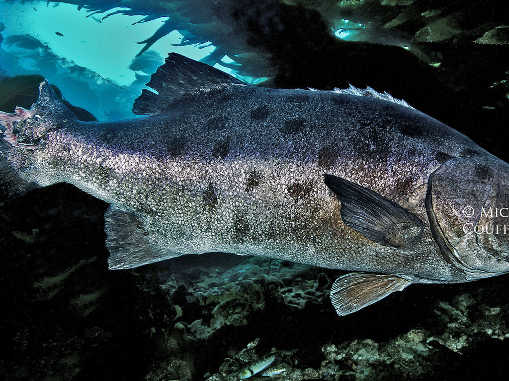 1016c639-8bc7-47d5-b7dd-00b50f6d7812