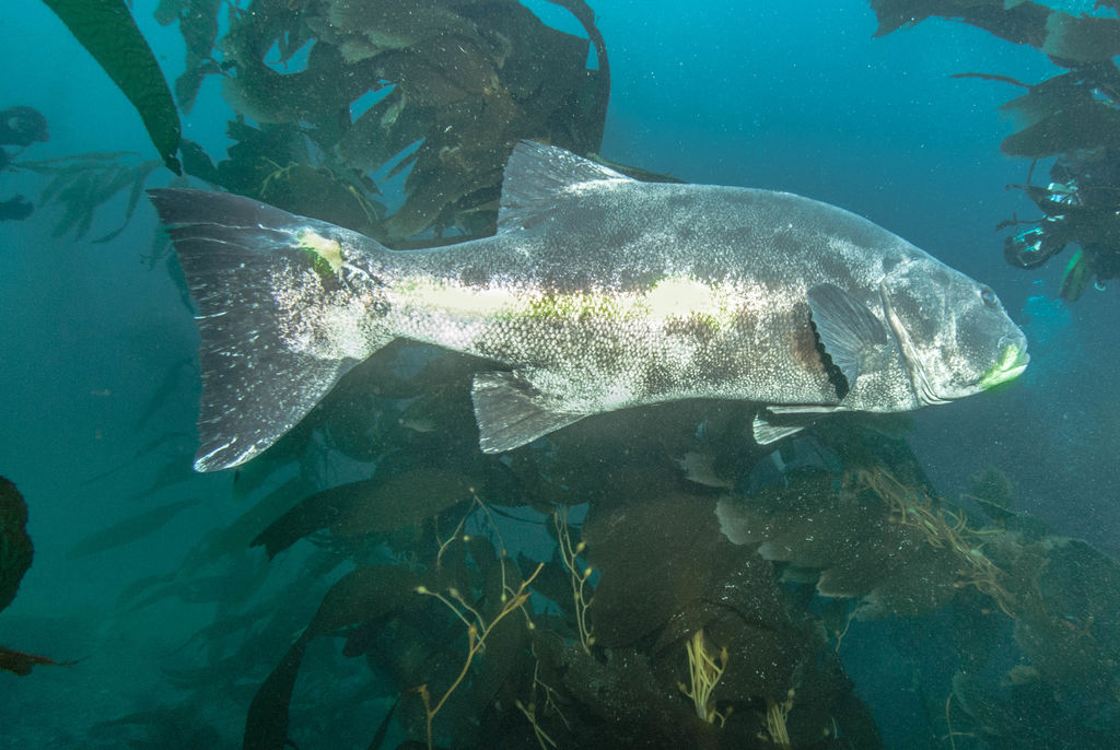 b6e95e0b-198d-4a8b-b3d8-257e2a90f187