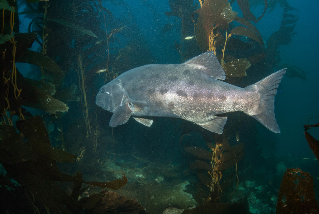 b6e95e0b-198d-4a8b-b3d8-257e2a90f187