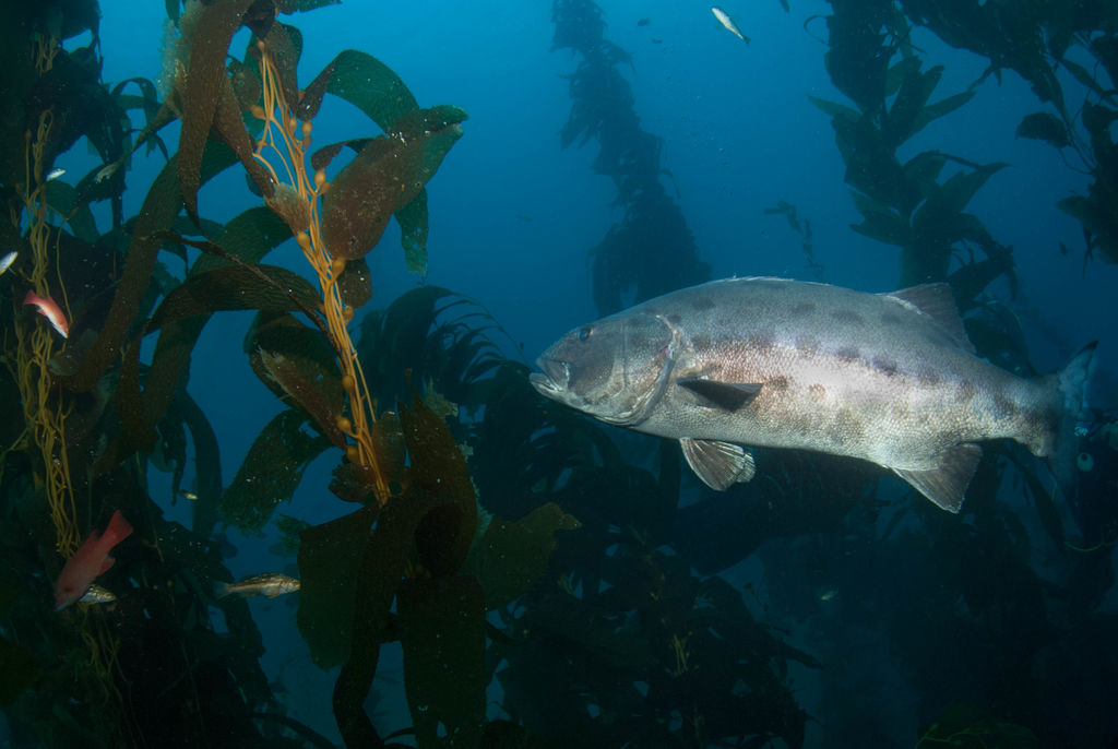 b6e95e0b-198d-4a8b-b3d8-257e2a90f187