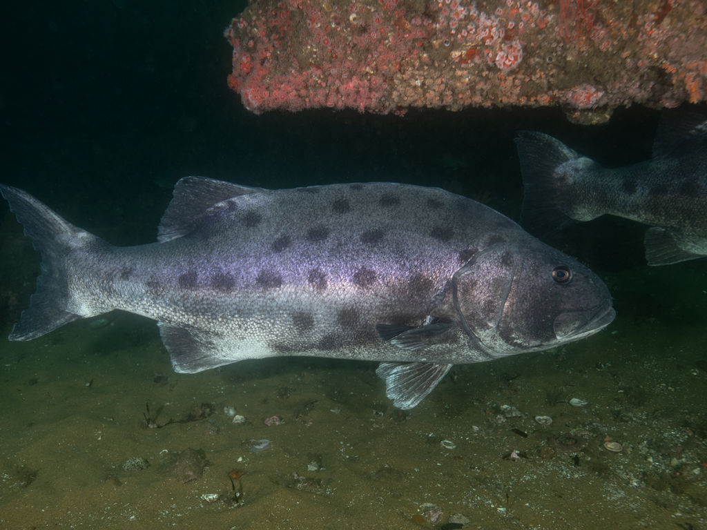 423a2657-fe35-410c-9755-53f93215cf6a