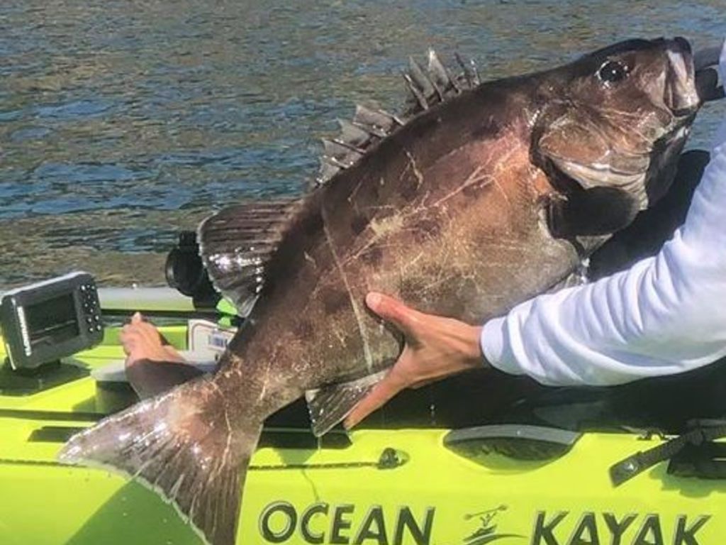 4036f6f9-12cb-4dd6-89eb-cbd979d09b16