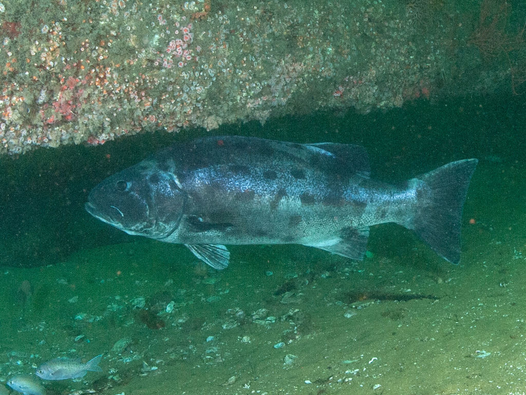 d1576d4d-fee5-4173-9cd0-b1b1729e896d