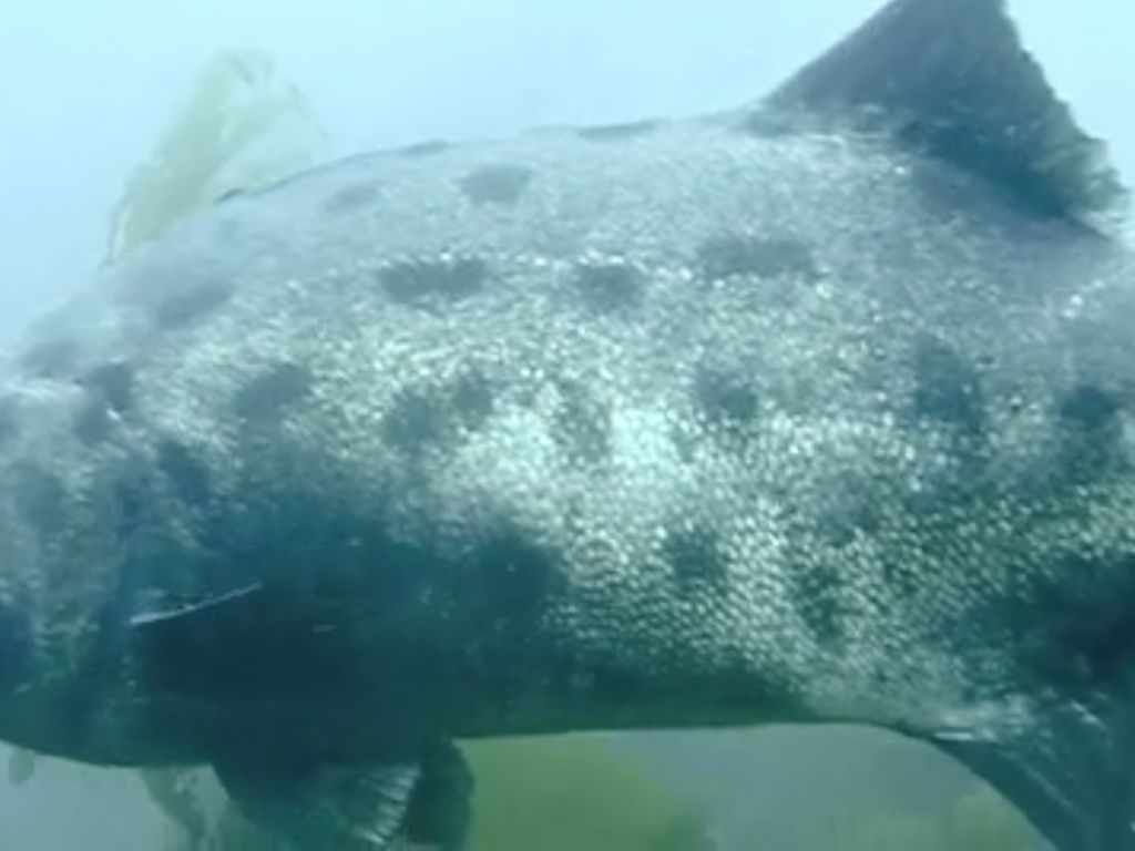 660ce193-e02e-4756-b1e7-3f60f8ea9bda