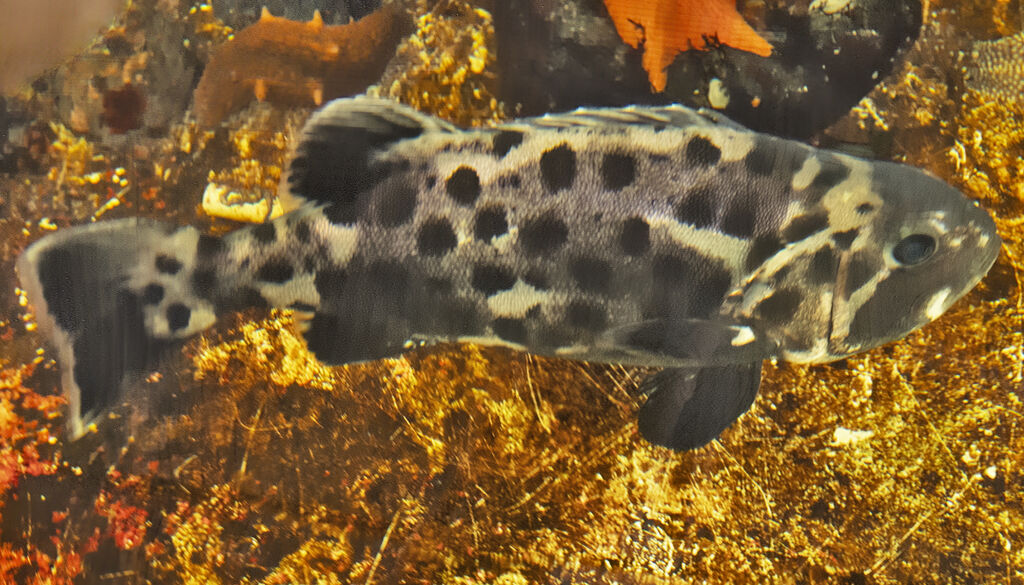 7845c3bc-d180-4334-89ab-abf5a0948ca2