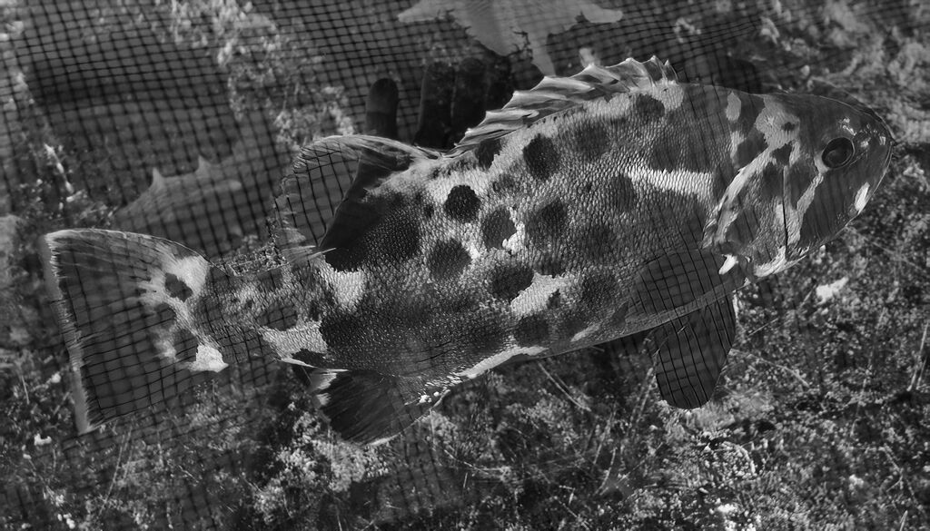 7845c3bc-d180-4334-89ab-abf5a0948ca2