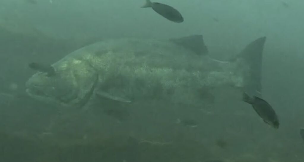 ed9dc444-422f-43e6-8054-f69ce6d535de