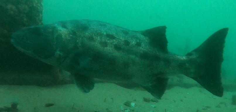 e2bf1819-cebc-4ae6-82e1-43d17abbafd2