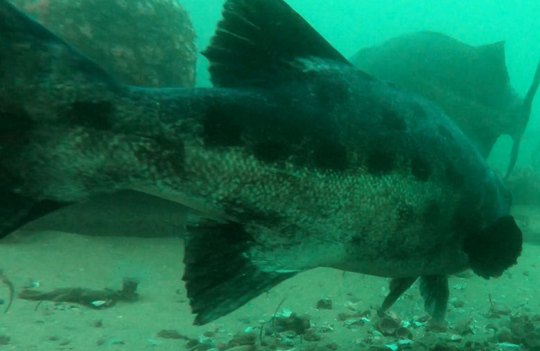 e2bf1819-cebc-4ae6-82e1-43d17abbafd2