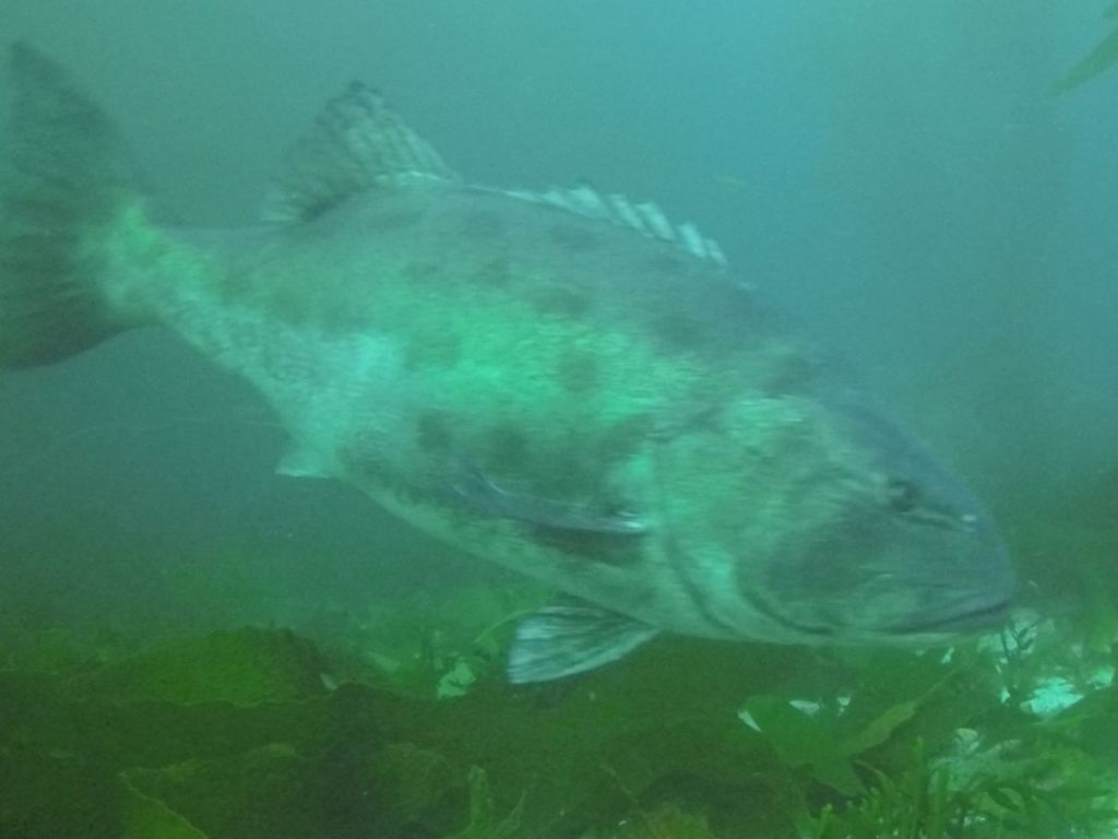 ebaf50ee-1ab3-4284-bc8e-cf3982f60387