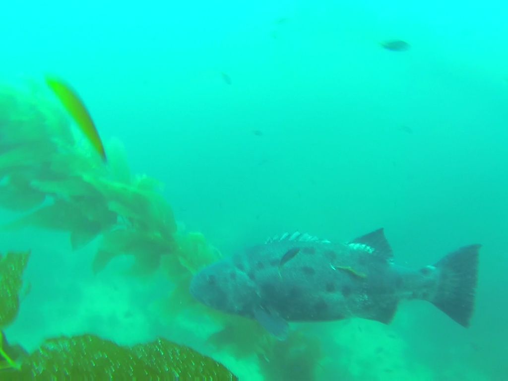 cc6d40d5-760e-41ec-9deb-a195a4f89f9c