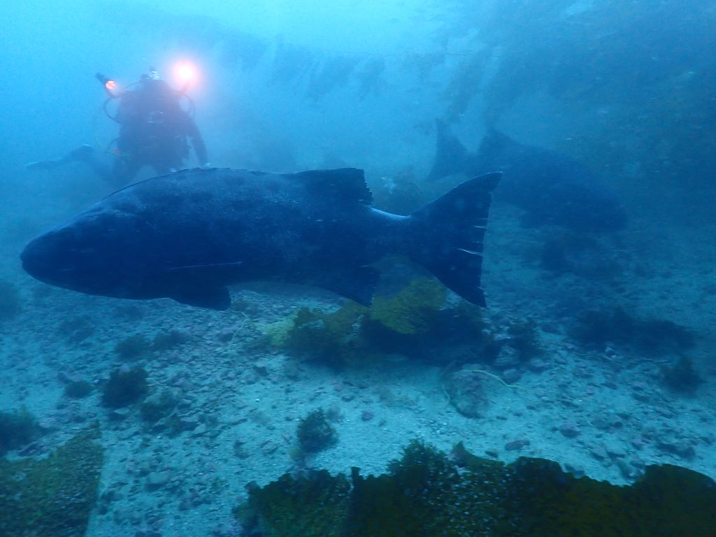 cd7e45c0-0e73-4c50-9921-78be67ef8e29