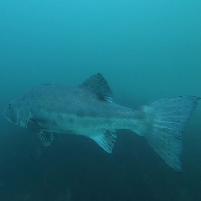 442cff86-575a-4166-92bc-0941488fdf81