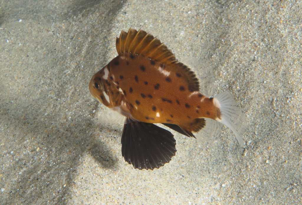 1ea3c639-97e7-4969-a8e6-224b2fbbac31