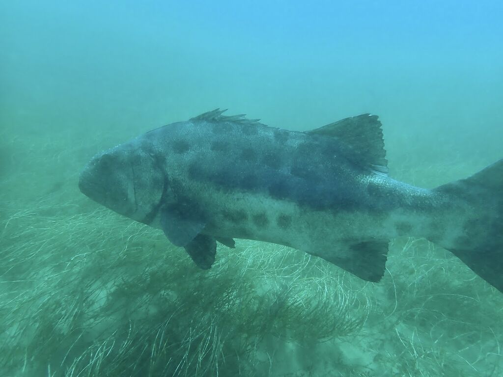 6681ebc6-d9ab-4d42-a285-9010b60a668c