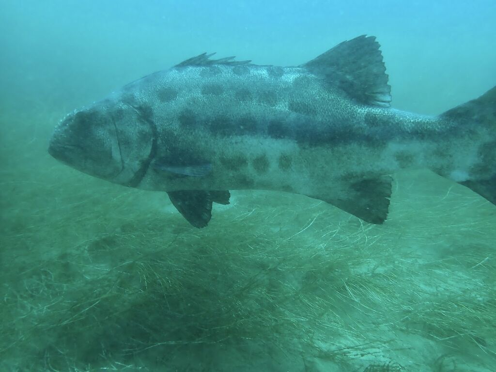 6681ebc6-d9ab-4d42-a285-9010b60a668c