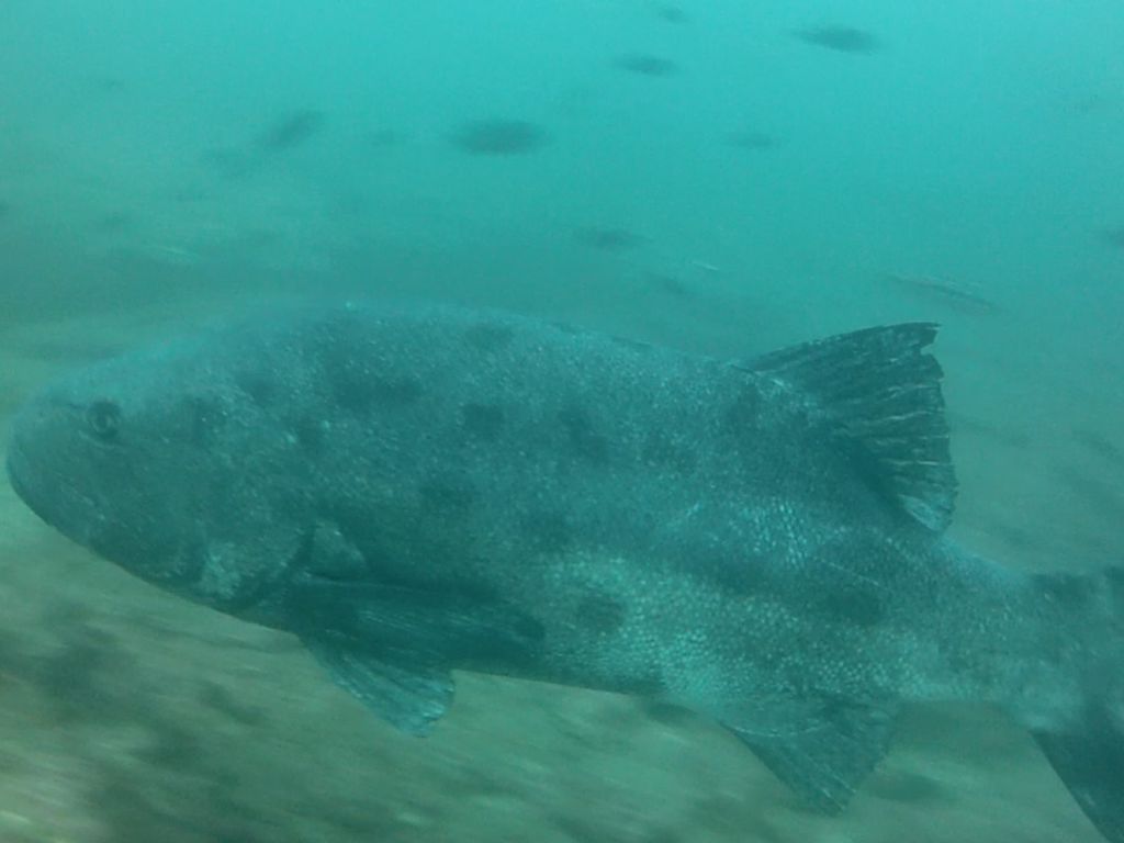 8358e8eb-fd2f-4041-acd0-55f238dfbb0c