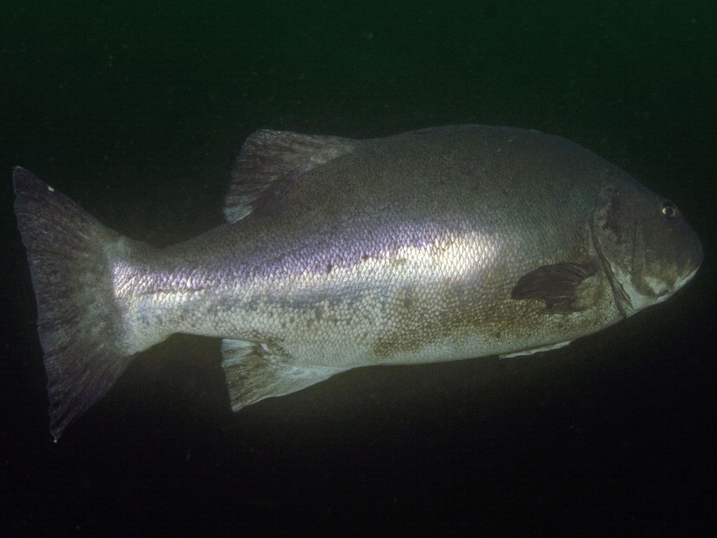 7c14faac-a9b6-4347-956b-f9d3ea789fcb