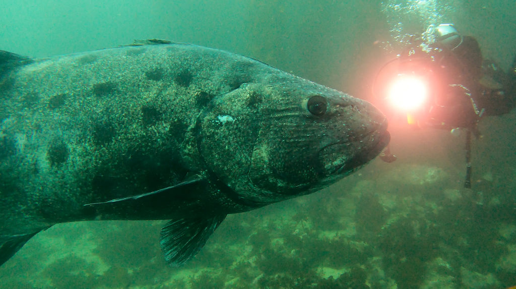 9a9eb27e-3999-4a35-833b-a7a8ec8163b2