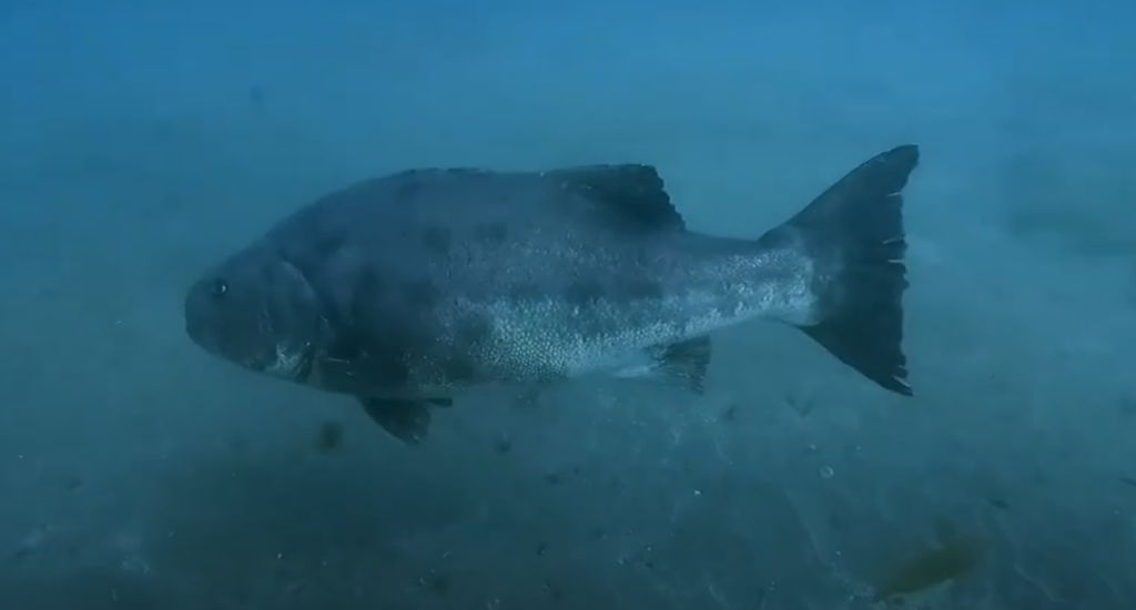 1b849902-e30e-45e3-a372-e7b1323de597