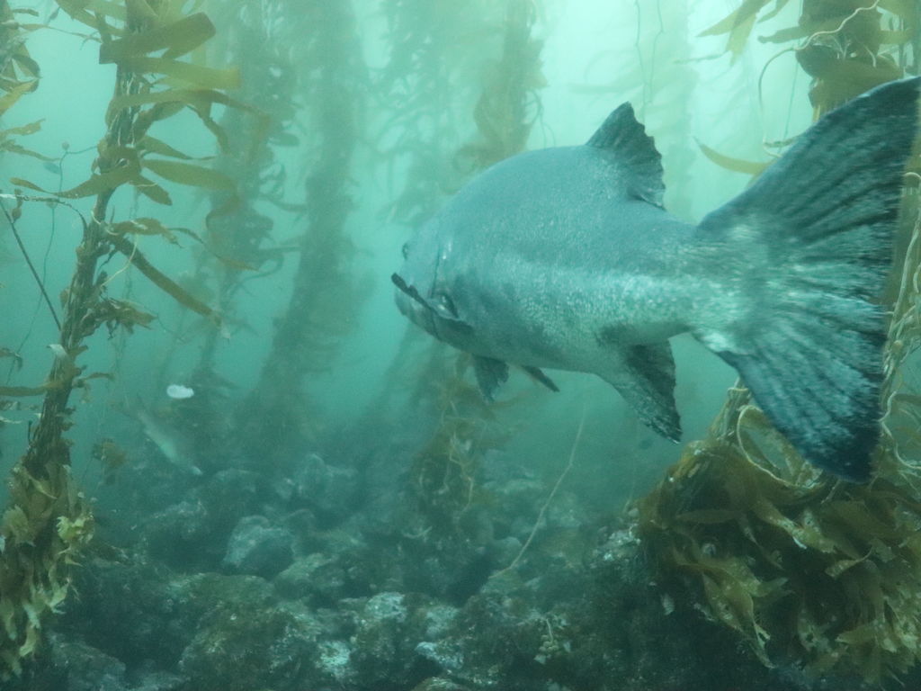 bb1c8dfa-0a8b-4484-ab29-76c464ba8c41