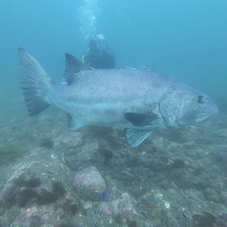 975d569b-8318-40ee-8b09-72d7d2118f18