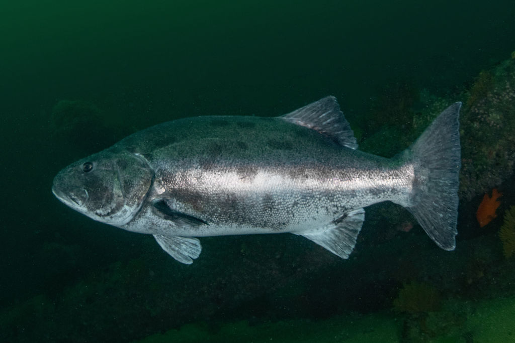 962ef27f-eebc-459e-acd7-9b6f5f7088f1