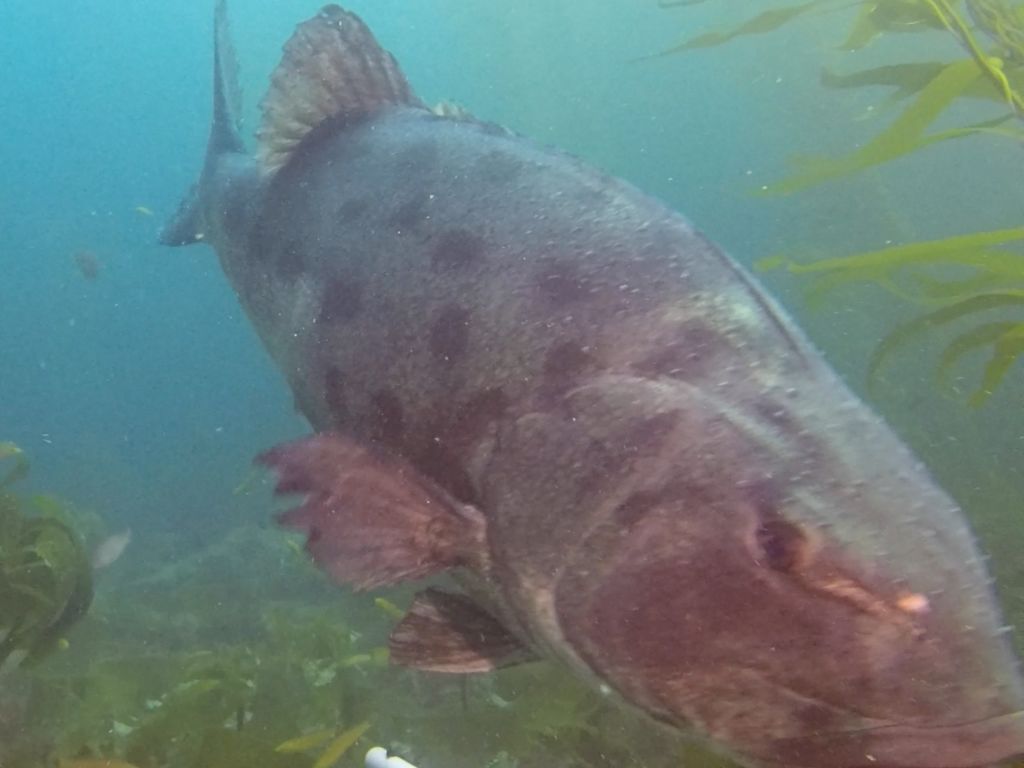 542c22a3-4833-4f84-b913-23d21dbc52fe