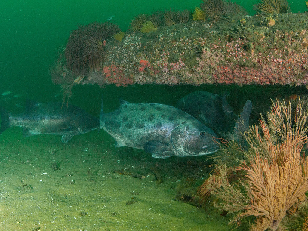 69711a16-e722-4266-9d90-de506494f100