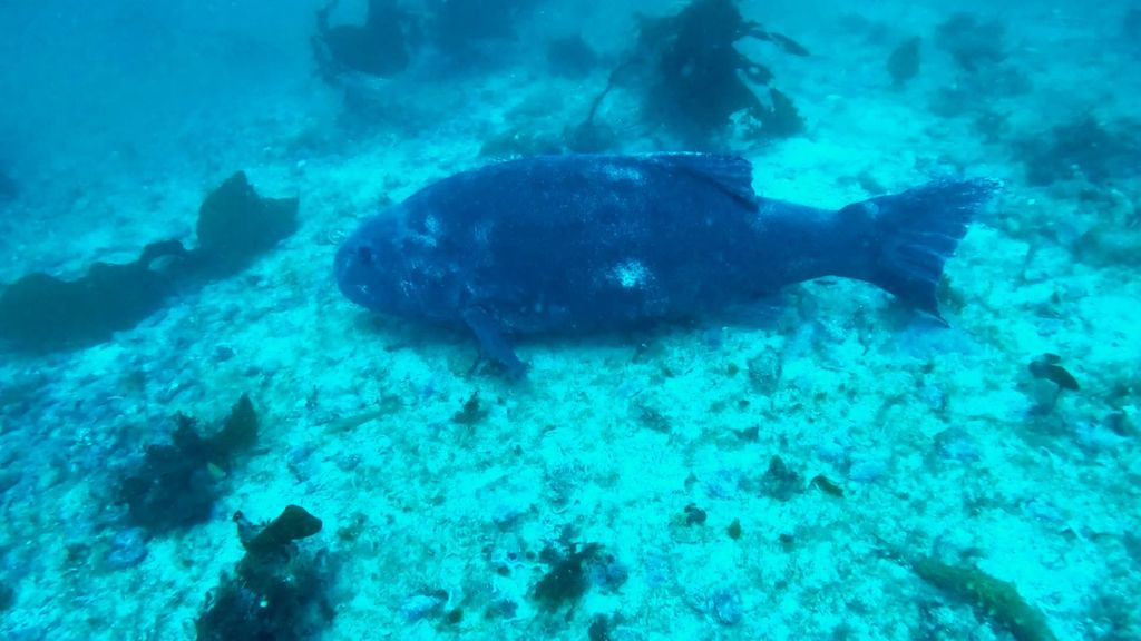 541d2609-d2d3-40bc-a85f-7636aa171d25