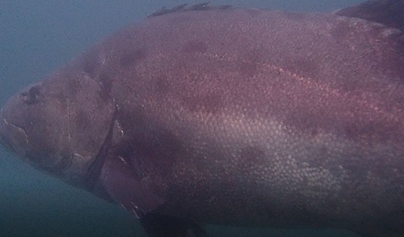 86bf53df-f269-4749-9e2a-a1455181bec5