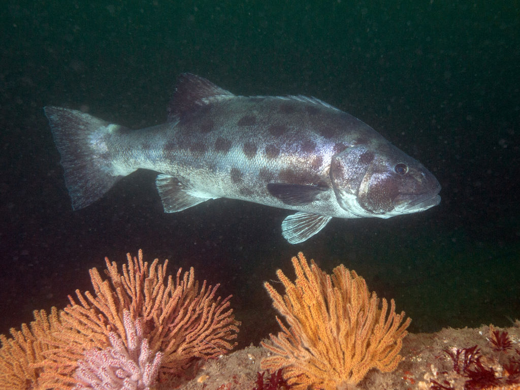 6b26e948-a233-4e02-973c-7e1ed4ee4e6b