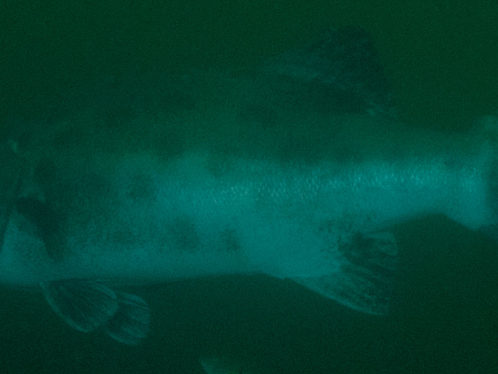 6b26e948-a233-4e02-973c-7e1ed4ee4e6b