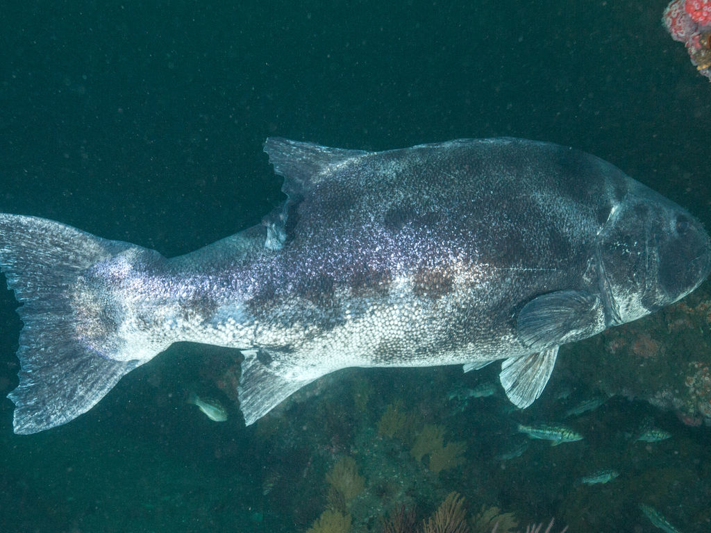 3473d10d-f63a-455b-b262-37d689de29b9