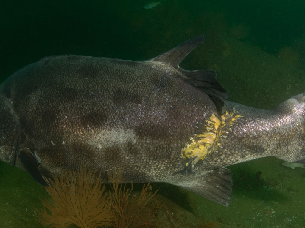 da71ed3f-c769-4502-a7d5-f4afbada81cd