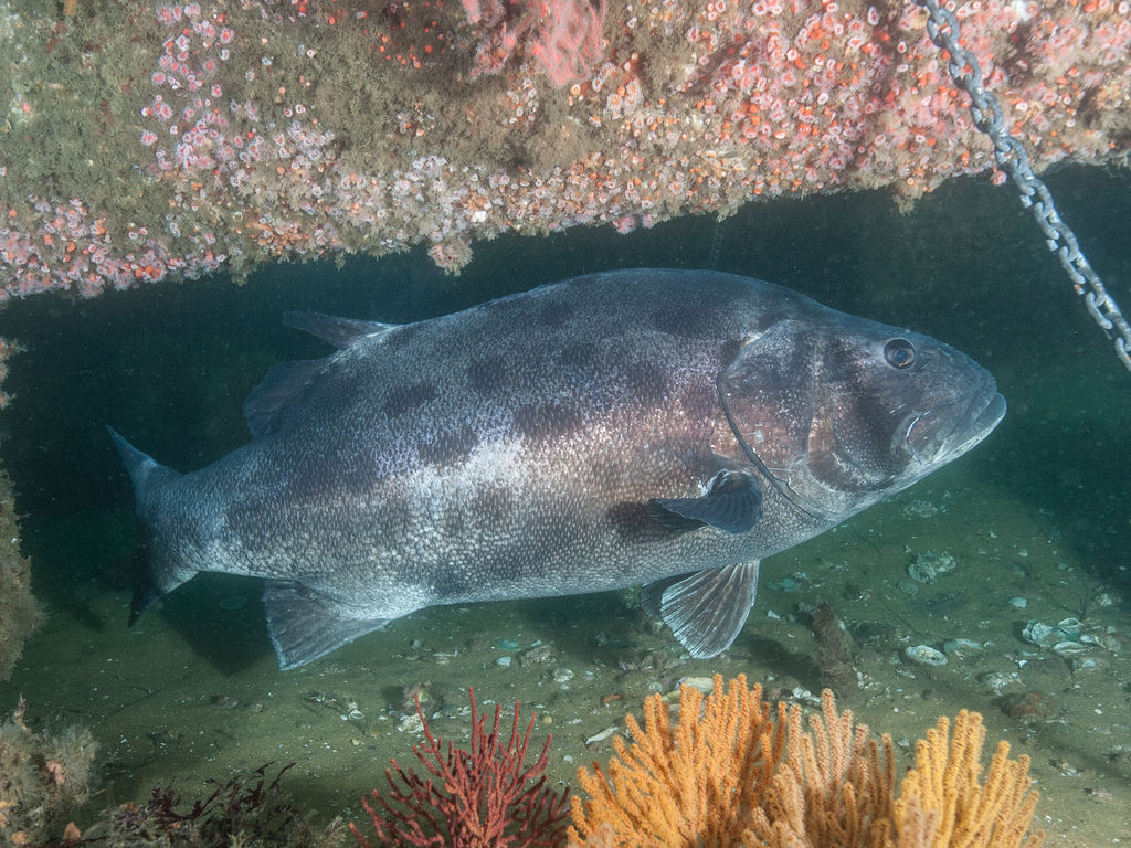 da71ed3f-c769-4502-a7d5-f4afbada81cd